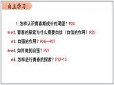 3.1 青春飞扬（课件）-下学期七年级道德与法治高效精品课件与学案（部编版）