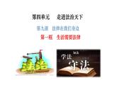 9.1  生活需要法律 （課件）-下學(xué)期七年級(jí)道德與法治高效精品課件與學(xué)案（部編版）