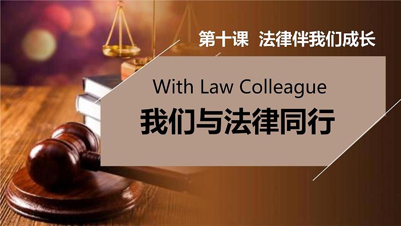 10.2 我们与法律同行（精品）第2页