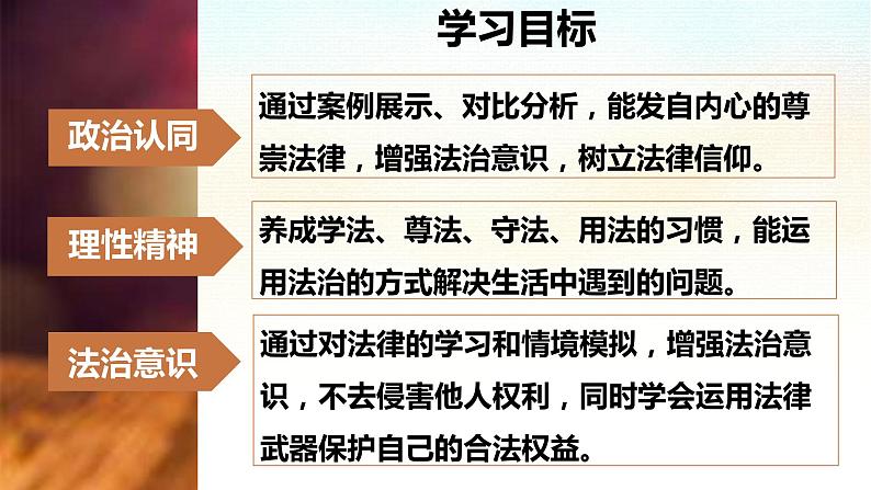 10.2 我们与法律同行（精品）第3页