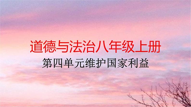 2021-2022学年部编版道德与法治八年级上册 第四单元  维护国家利益复习课件第1页