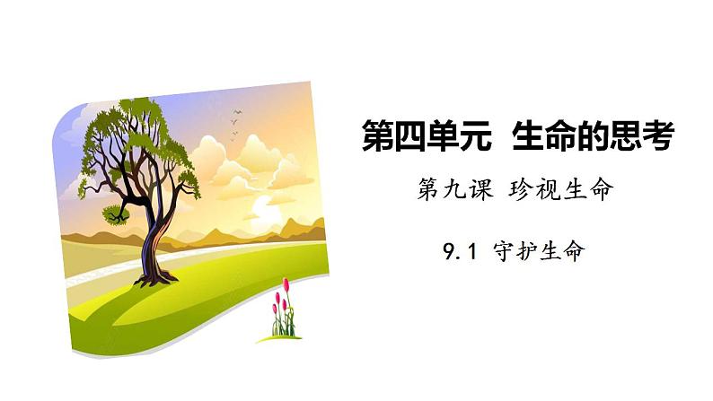 2021-2022学年部编版道德与法治七年级上册—9.1守护生命课件PPT02