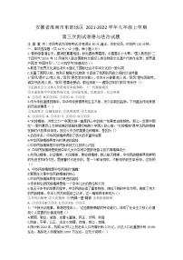 安徽省淮南市东部地区2021-2022学年九年级上学期第三次测试道德与法治试题（Word版含答案）