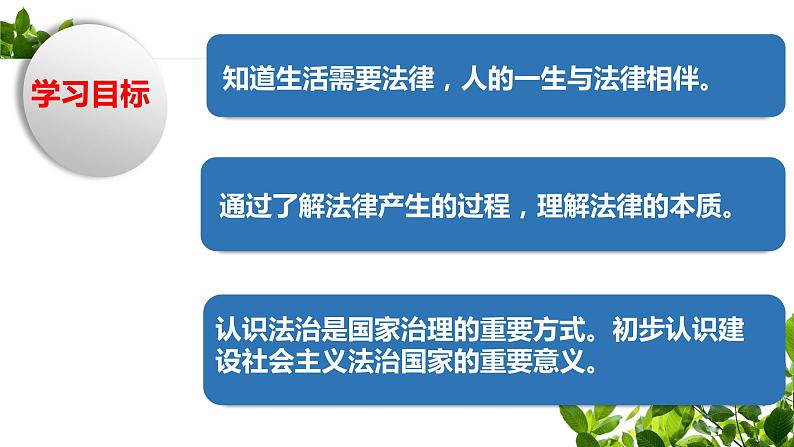 9.1 生活需要法律 课件 2021-2022学年部编版道德与法治七年级下册第2页