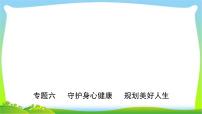 山东省济南市中考道德与法治专题复习六守护身心健康规划美好人生优质课件PPT