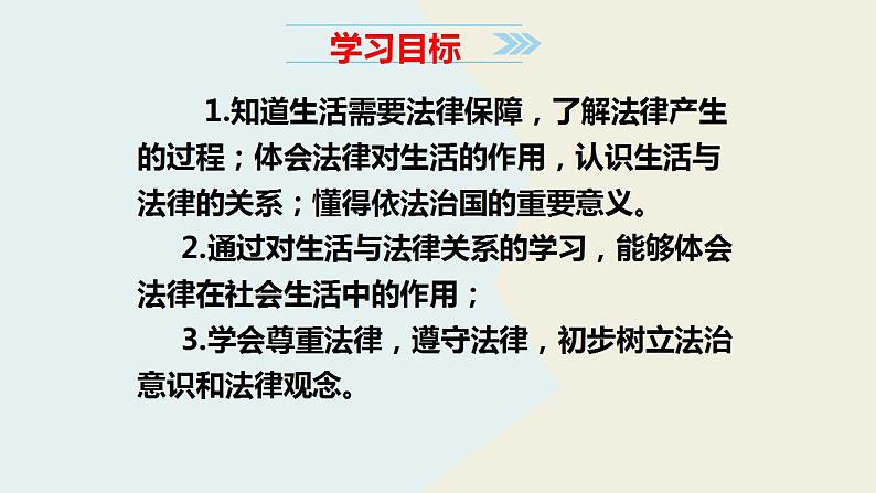 9.1生活需要法律课件2021-2022学年部编版道德与法治七年级下册第4页