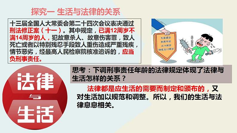 9.1生活需要法律课件2021-2022学年部编版道德与法治七年级下册第8页