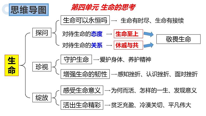 第四单元生命的思考复习课件-2021-2022学年部编版道德与法治七年级上册03