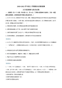 河南省信阳市平桥区2020-2021学年九年级上学期期末道德与法治试题