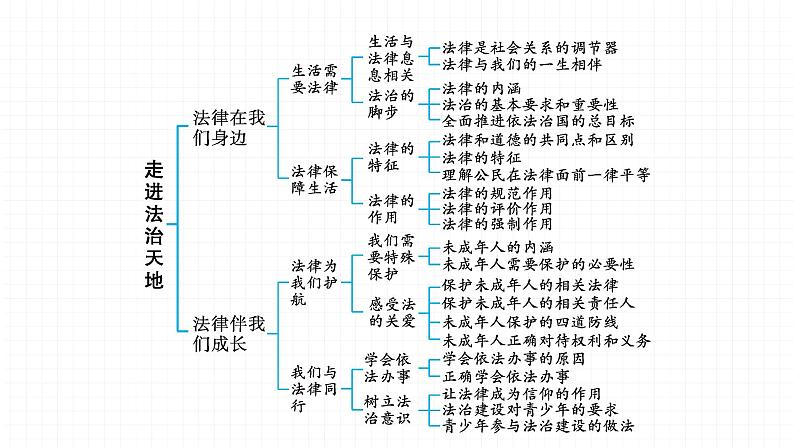 2022届 初中道德与法治 一轮复习 第二部分（七年级下册） 第四单元　走进法治天地 课件第3页