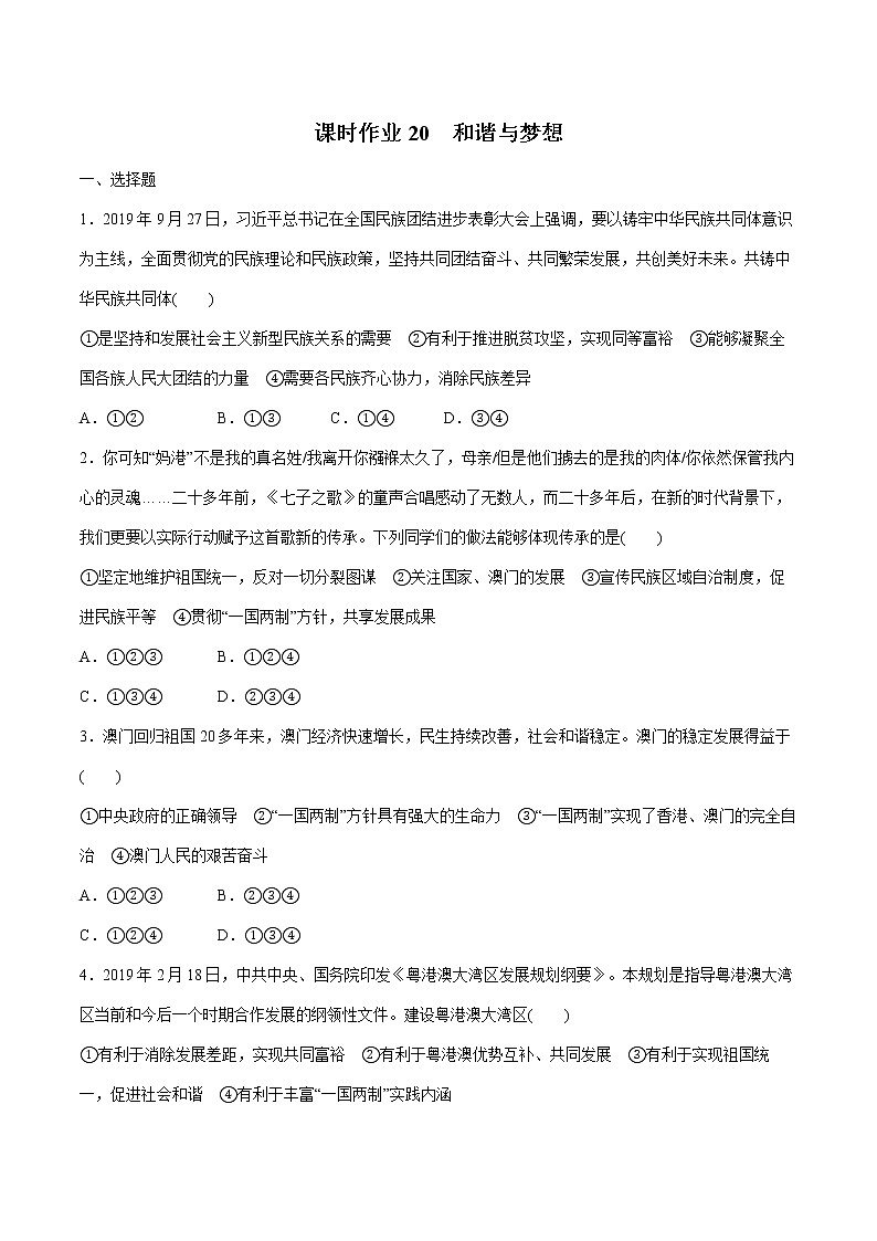 2022届 初中道德与法治 一轮复习 课时20 和谐与梦想 作业 练习01