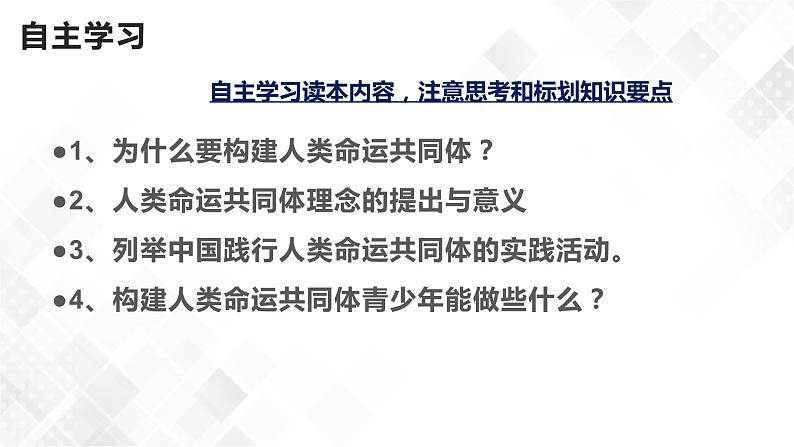 7.1人类生活在同一个地球村（课件）第4页