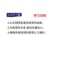 10.1关心国家发展课件PPT