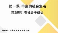 2021学年在社会中成长教案配套ppt课件