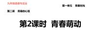 初中政治 (道德与法治)人教部编版七年级下册青春萌动习题ppt课件