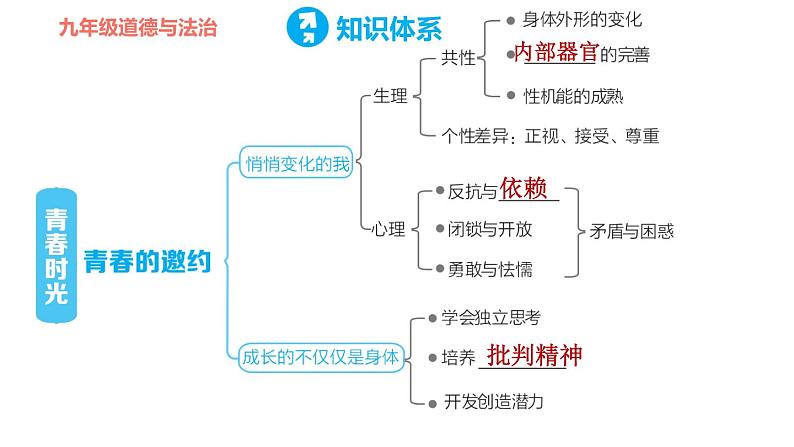 人教版七年级下册道德与法治 第一单元复习训练 习题课件第2页