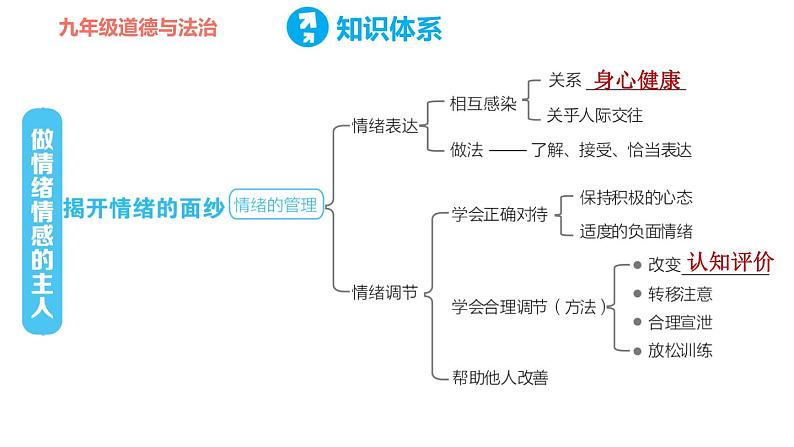 人教版七年级下册道德与法治 第二单元复习训练 习题课件第3页