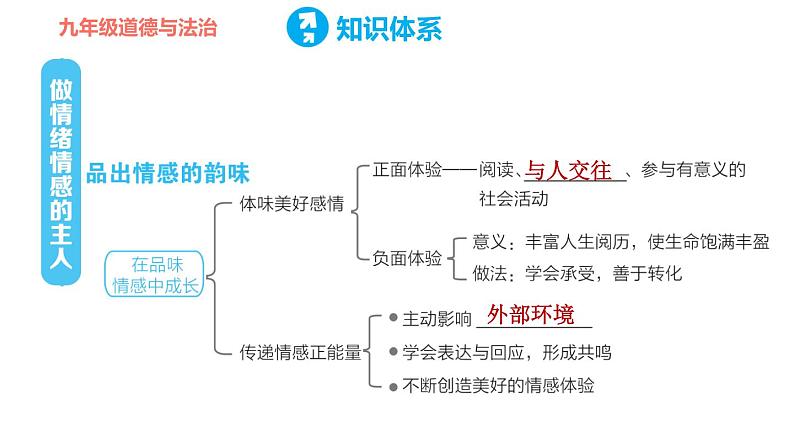 人教版七年级下册道德与法治 第二单元复习训练 习题课件第5页