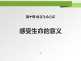 人教部编道德与法制七年级上册4.10.1感受生命的意义ppt课件