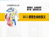 人教部编道德与法制七年级上册10.1感受生命的意义ppt课件