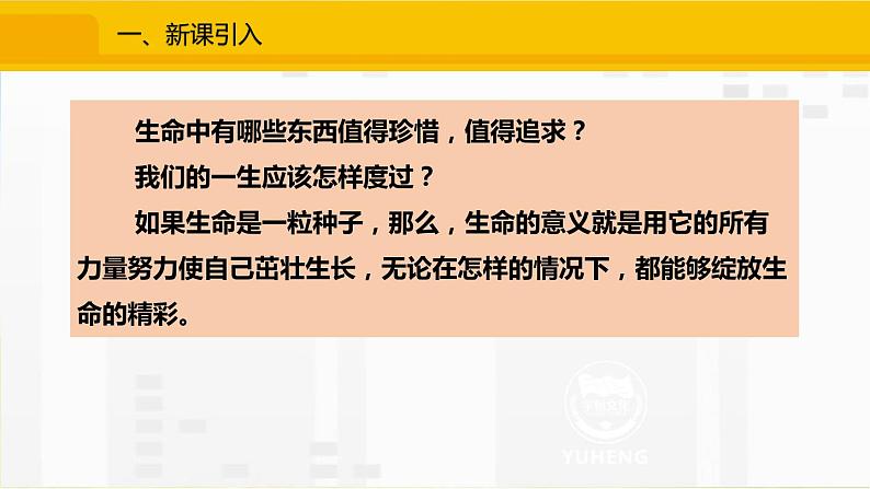 人教部编道德与法制七年级上册10.1感受生命的意义ppt课件第3页