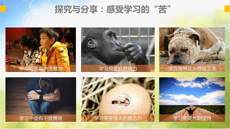 人教部编道德与法制七年级上册5享受学习ppt课件第8页