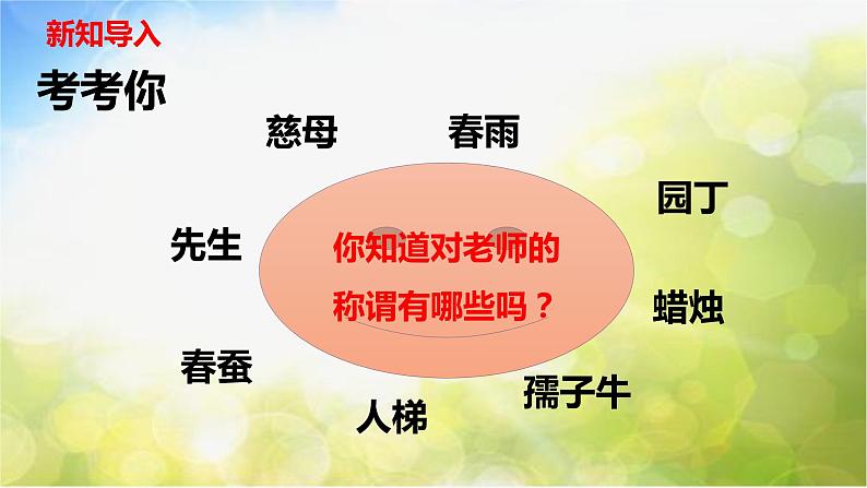 人教部编道德与法制七年级上册3走近老师_1ppt课件第4页