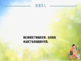 人教部编道德与法制七年级上册1守护生命ppt课件
