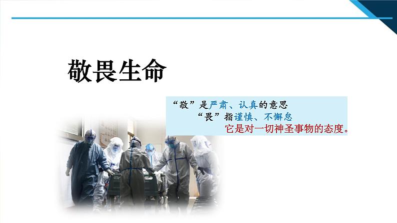 人教部编道德与法制七年级上册4敬畏生命ppt课件05