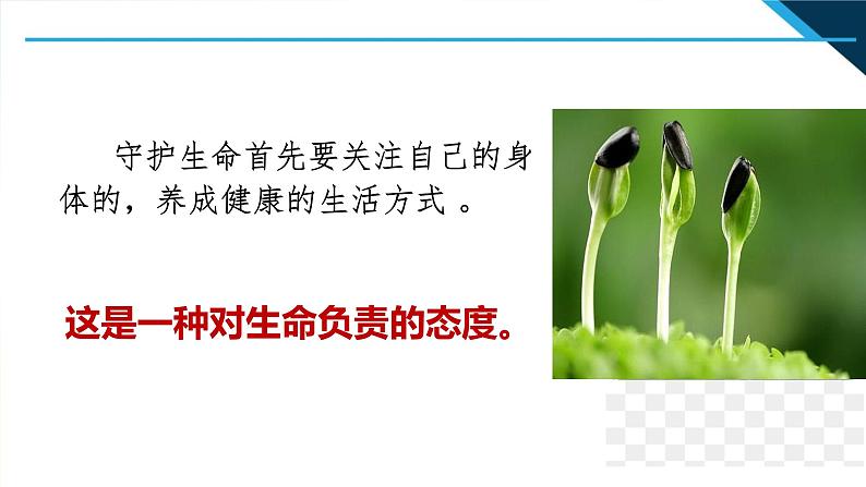 人教部编道德与法制七年级上册4守护生命ppt课件第6页