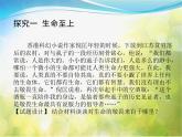 敬畏生命PPT课件免费下载