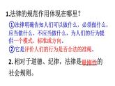 预防犯罪   道德与法治初中八上第五课课件PPT