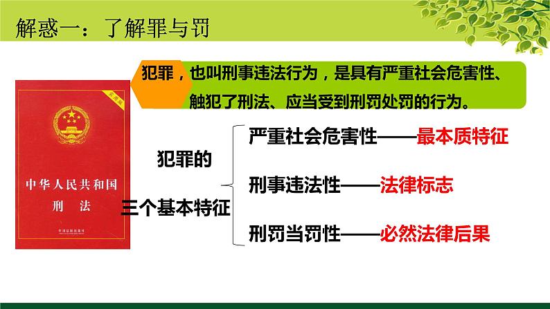 预防犯罪   道德与法治初中八上第五课课件PPT08