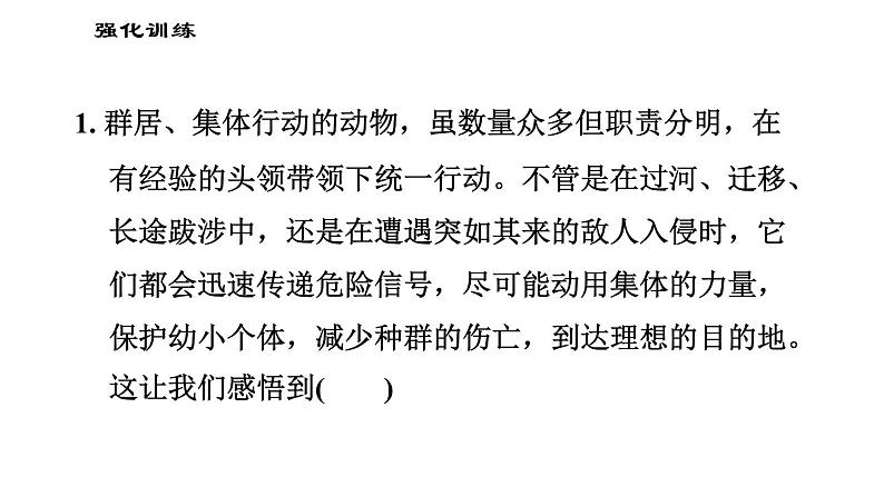 人教版七年级下册道德与法治 第三单元易错专训课件PPT第4页