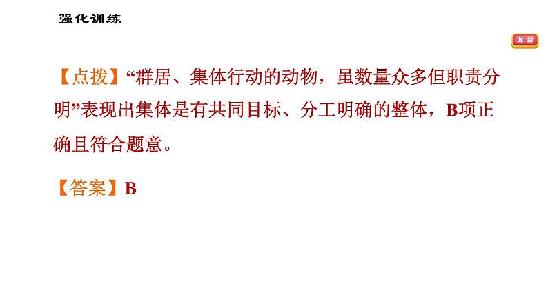 人教版七年级下册道德与法治 第三单元易错专训课件PPT第6页