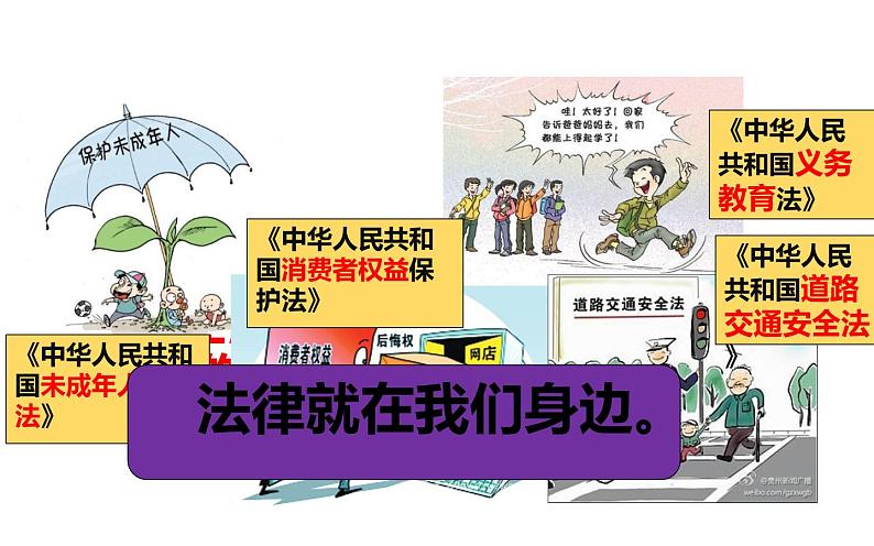 9.1 生活需要法律 课件-2020-2021学年初中道德与法治人教版七年级下册（共17张）第2页