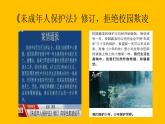 10.1 法律为我们护航 课件-2020-2021学年初中道德与法治人教版七年级下册（共19张）
