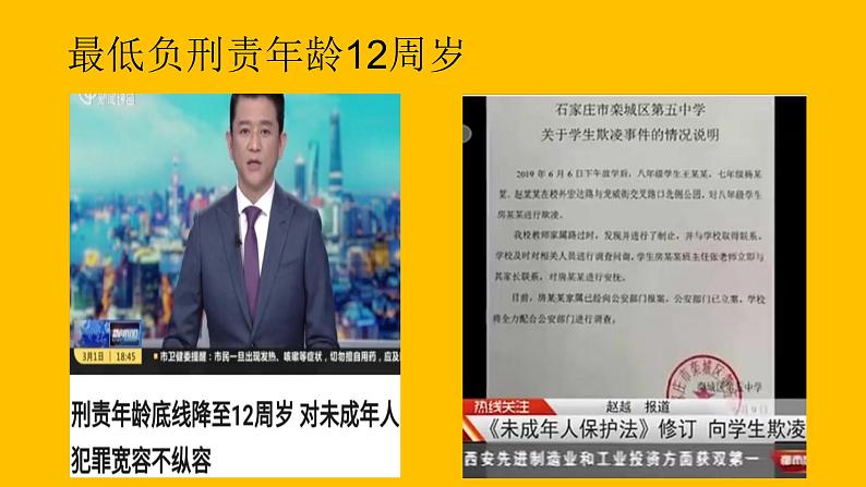 10.1 法律为我们护航 课件-2020-2021学年初中道德与法治人教版七年级下册（共19张）第5页