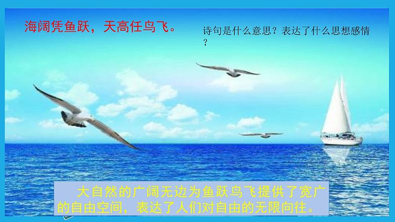 7.1 自由平等的真谛 课件-2020-2021学年初中道德与法治人教版八年级下册（共25张）第2页