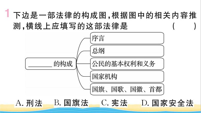 玉林专版八年级道德与法治下册第一单元坚持宪法至上第二课保障宪法实施第1框坚持依宪治国作业课件新人教版02