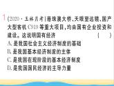 玉林专版八年级道德与法治下册第三单元人民当家作主第五课我国的政治和经济制度第1框基本经济制度作业课件新人教版