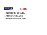 八年级上册道法10.1关心国家发展(23张)ppt课件