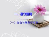 八年级上册道法第三课社会生活离不开规则第一框-维护秩序19ppt课件
