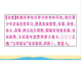九年级道德与法治下册第三单元走向未来的少年小结作业课件新人教版