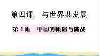 政治 (道德与法治)九年级下册中国的机遇与挑战作业ppt课件