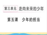 九年级道德与法治下册第三单元走向未来的少年第五课少年的担当作业课件新人教版