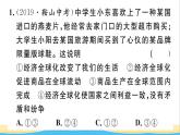 九年级道德与法治下册第一单元我们共同的世界小结作业课件新人教版