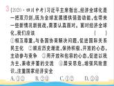 安徽专版九年级道德与法治下册精题汇编我们共同的世界作业课件新人教版