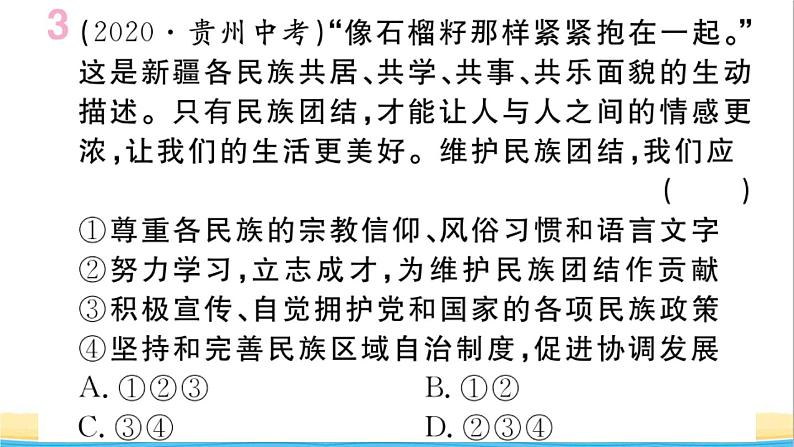 安徽专版九年级道德与法治下册精题汇编中华一家亲作业课件新人教版第5页