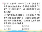 安徽专版九年级道德与法治下册精题汇编走向未来的少年作业课件新人教版